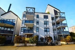 Bezugsfrei! Barrierefrei! Frisch renoviert! Top 2 Zimmer ETW mit Aufzug, Terrasse, und TG-Stellplatz - Etagenwohnung Sankt Augustin | Angebot:26905800